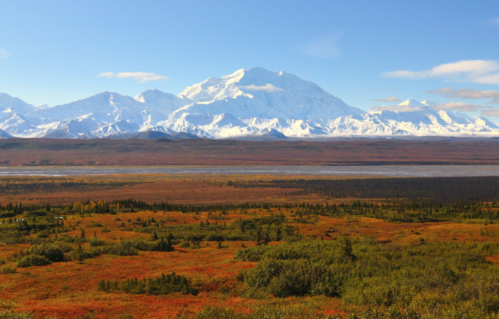 history of denali