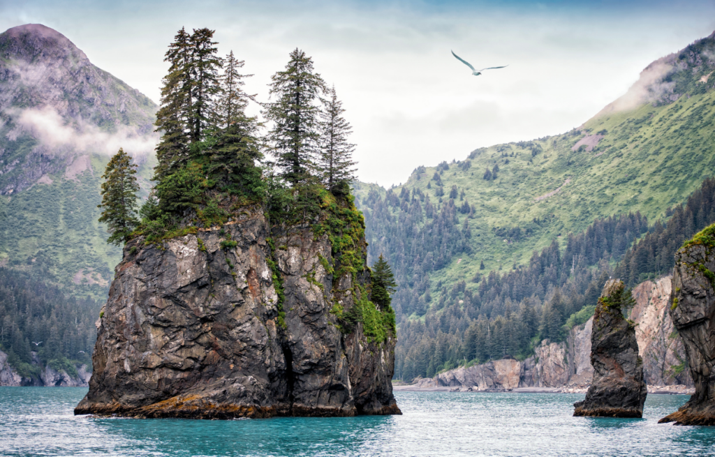 kenai peninsula alaska 