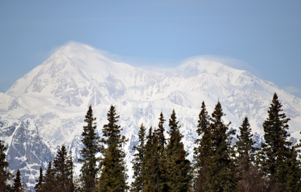 denali national park